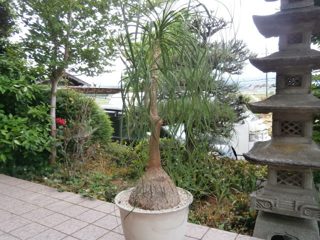 872.jpg